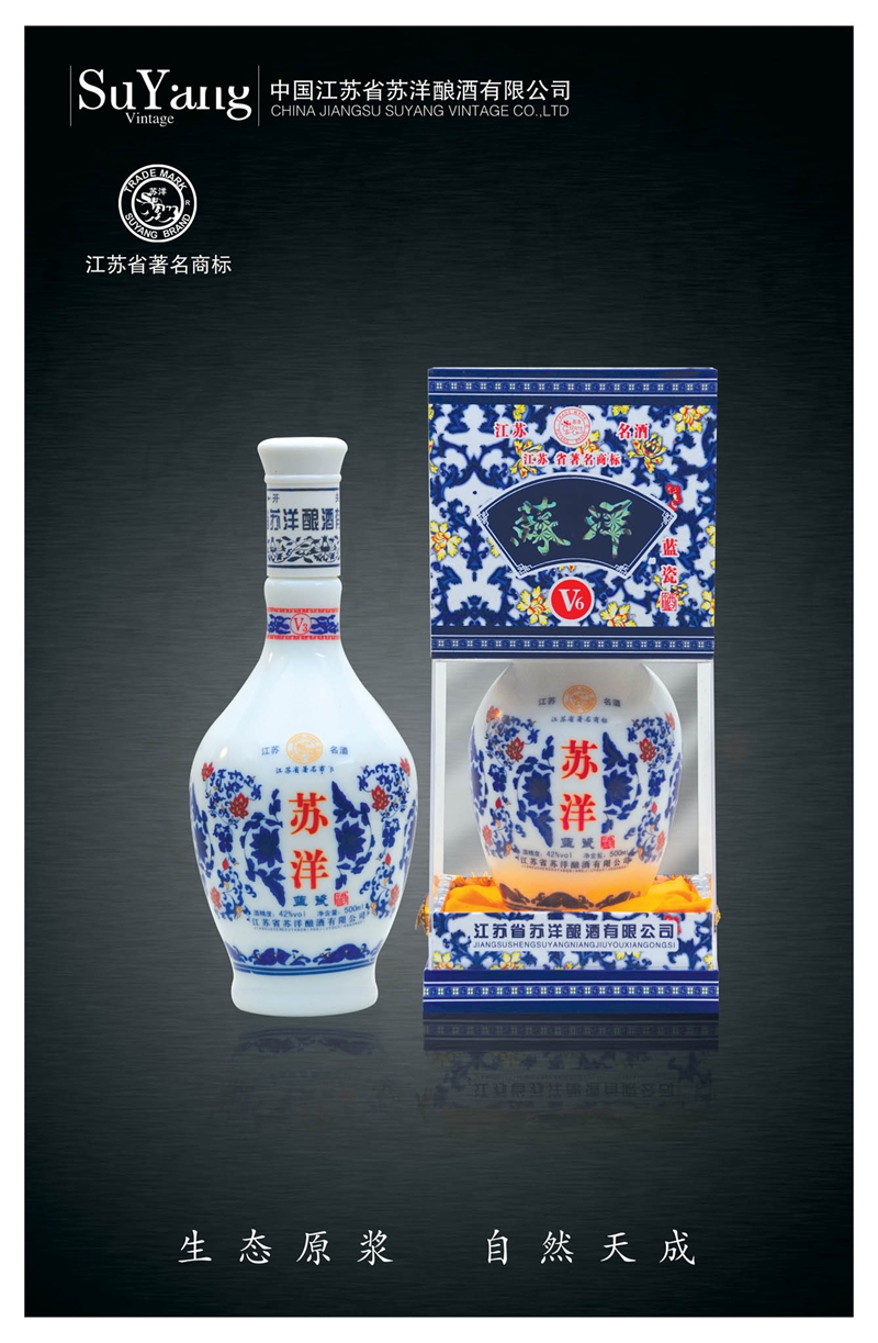 蘇洋 V6